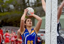 MSENA: Pies remain undefeated