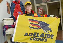 Excitement grows for loyal crow