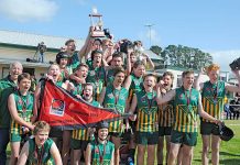 MSEFL: Grand final success