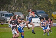 WBFL: Cats hold advantage