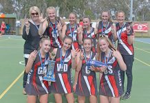 WBNA: Finals fever at Island Park