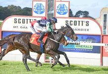 Finally off and racing