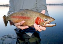 Keen anglers hit region’s waters