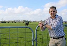 Liberal hopeful on attack over health