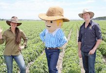 Preselection field shortens