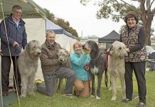 Furry friends competition