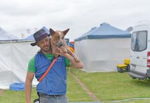 Rescue dogs perform at show