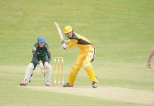 Tigers on the front foot