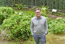 City tourism potential