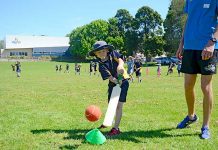 Junior cricket focus a hit