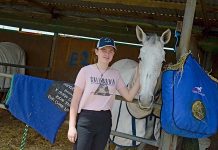 Show time for horses