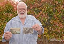 Historical stamps on display