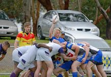 Knights down Panthers