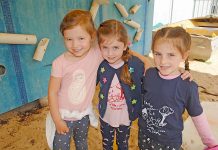 Project support call