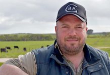 Reputation beefed up