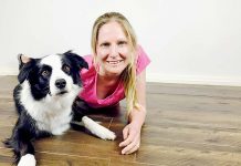 Whole world at border collie’s paws