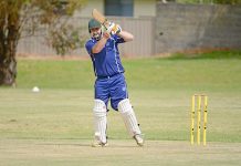 Eagles soar over dogs