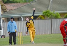 Tigers steamroll struggling Dogs