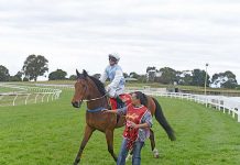 Exceptional training performance