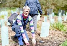 Valley lake revegetation