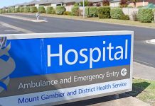 Regional health director appointed