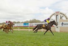 First winner – and at 100/1