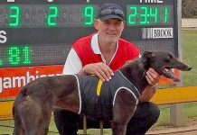 Hounds: Panther on the prowl again