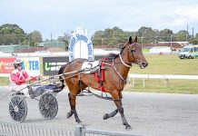 Harness season kicks off