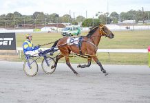 Trots: Corporal Bill takes command in final moments