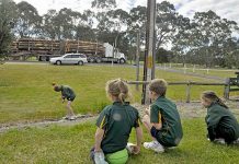 Urgent repairs needed to school boundary