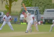 Dogs let off the leash