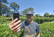 Council talks free Wi-Fi for city icons