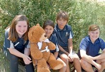 Students campaign against domestic violence