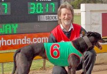 Hounds: Cup finalist in memorial heat