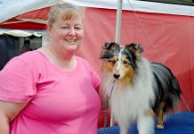 Fun in the sun for dog owners