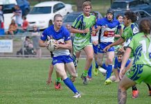 Knights shine bright against odds