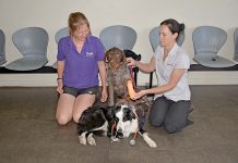 All paws on deck for fundraiser