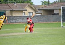 Dogs chomping at the bit