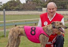 Hounds: Solitary Lad on track for success