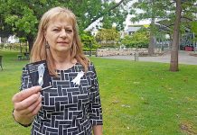 Community stands together against domestic violence