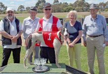 Hounds: Lektra lineage remains strong