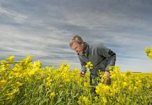 Crop disease warning