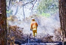 Courting disaster – Fire danger season heats up