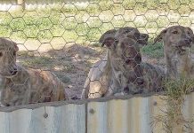 Bolt from the Blue Lake