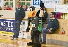 Basketball: Pioneers sign Luk