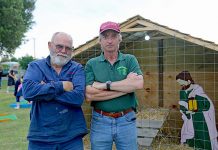 Nativity display theft disappoints