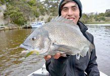 Fishing: Shelf stocked off coast