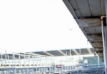 Council to prepare saleyards report