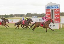 Stable star emerges for O’Leary