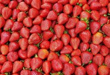 Berry good job opportunities